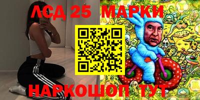 PSILOCYBIN Можга